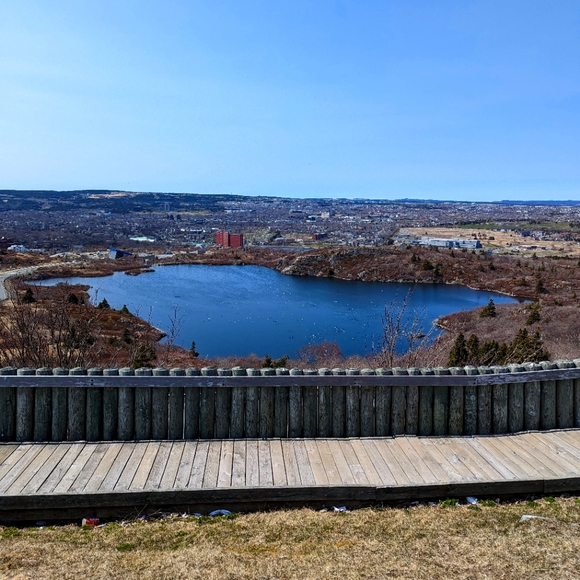 Meet your Posher, Deeann - Picture 1 of 1